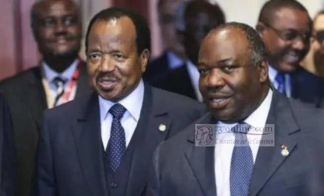 Ali biya