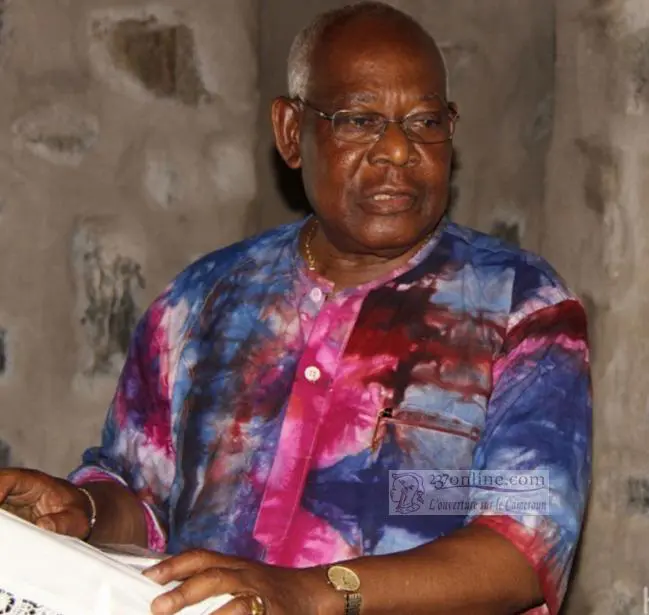 Cameroun: Ces arbitres-joueurs des institutions électorales