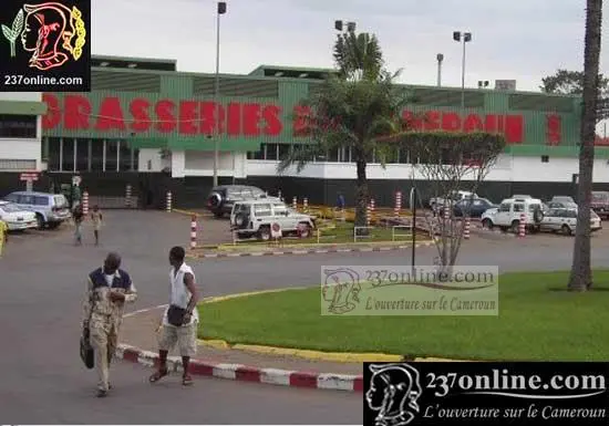 Cameroun – Boissons gazeuses: les Brasseries baissent les prix