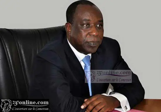 Cameroun : David Nkoto Emane dévoile la stratégie de rentabilisation du SAIL