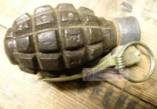 Cameroun : un mort dans l’explosion d’une grenade à Maroua