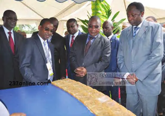 Cameroun – Qualité: Les enjeux de la normalisation