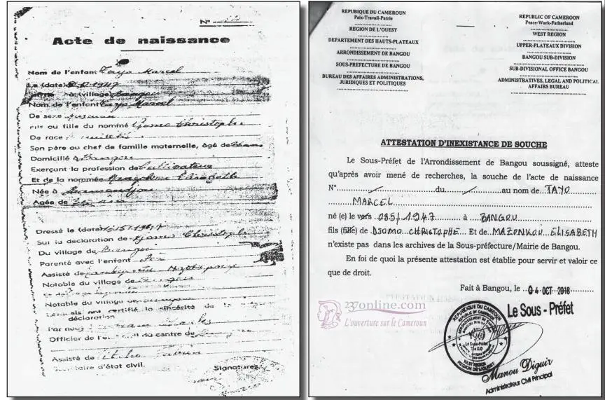 Cameroun: Seulement 66% de naissances sont déclarées