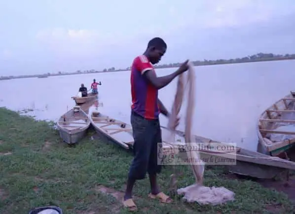 Cameroun: Les moustiquaires distribuées utilisées pour la pêche et la chasse à l’Est