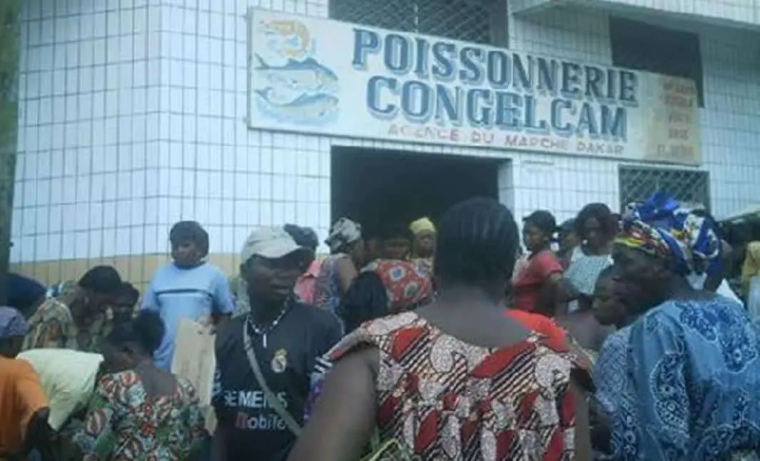 Poissons pourris détruits à Douala: la vérité derrière la vidéo virale