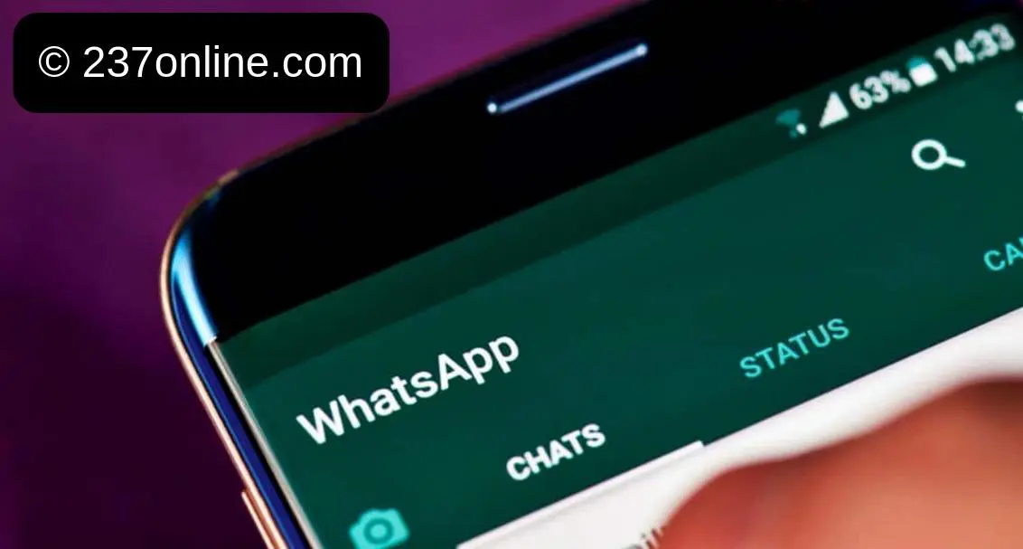 Tontines 2.0 : Comment Whatsapp révolutionne les cotisations au Cameroun