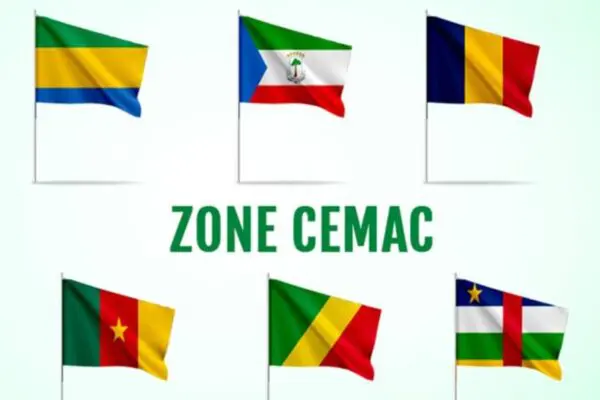 Cameroun: La CEMAC face au défi de la transition énergétique