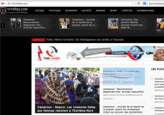 Cameroun – Journée mondiale de la liberté de la presse: Réflexions autour de la cyberpresse