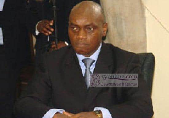 Cameroun: La filière riz et le PNIA en 2016