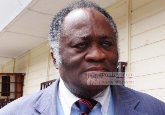 Cameroun – Alternance au Cameroun: Joseph Owona étale ses limites