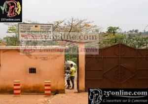 Cameroun Tourisme L'ombre du parc de MvogBetsi