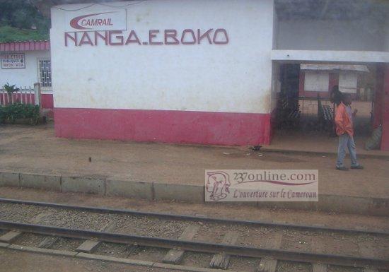 Nanga Eboko