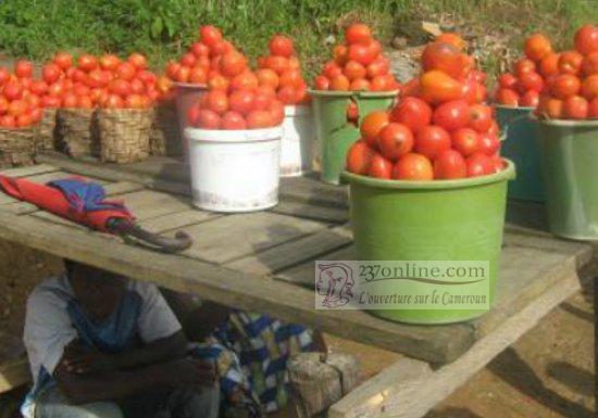 Cameroun : voici comment conserver vos légumes sans dépenser