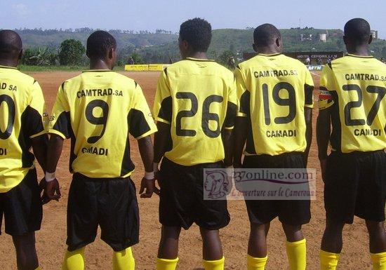 aigle menoua