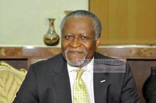 Cameroun – Succession Muna: Akere Muna condamné en instance