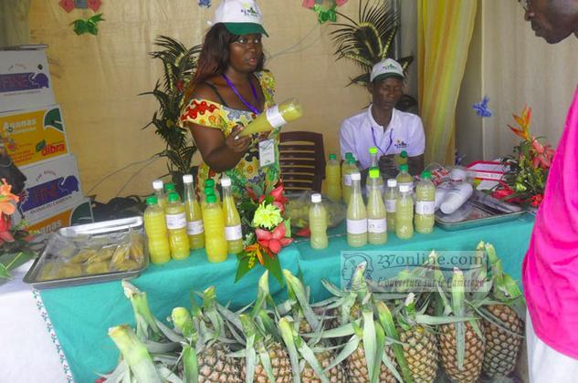 Cameroun: Plus d’accent pour la production d’ananas bio