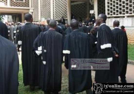 avocats camerounais