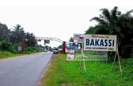 Cameroun: Le Nigeria veut reprendre la presqu’île de Bakassi