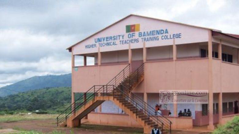 Bamenda université