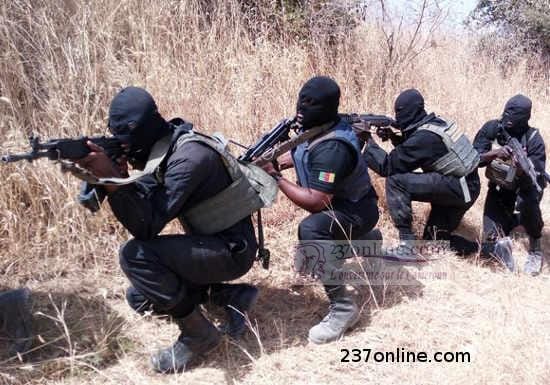 Cameroun – Terrorisme: 50 combattants de Boko Haram tués par l’armée camerounaise