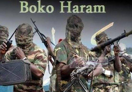 Insécurité transfrontalière: Qui se cache réellement derrière Boko Haram ?