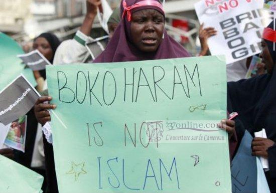 Cameroun : au moins trois pêcheurs tués par Boko Haram