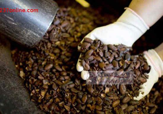 Le Cameroun veut rendre obligatoire la consommation du café dans les administrations