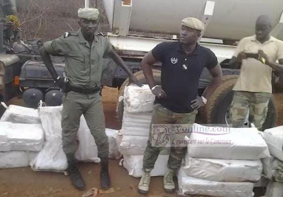 Cameroun : Accusé pour trafic et consommation de cannabis