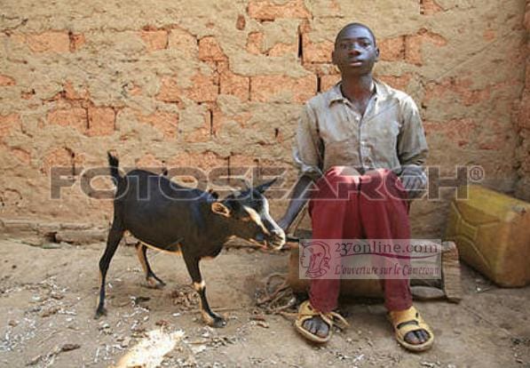 Le jeunehomme et la chevre