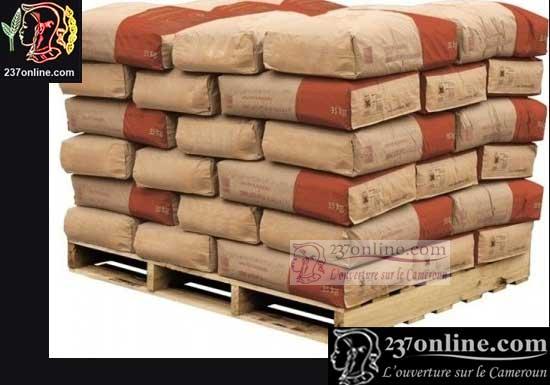 Cameroun: La cimenterie marocaine entre en production :: Cameroon