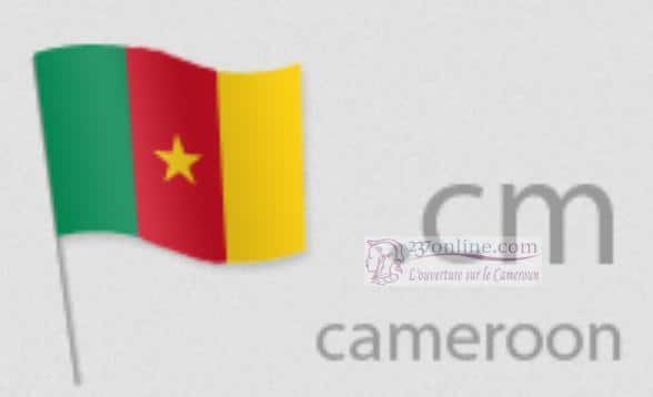 Le Cameroun veut vulgariser l’identité numérique «.cm »