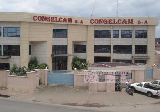 Cameroun: La Maetur soupçonnée d’escroquerie foncière au profit de Congelcam