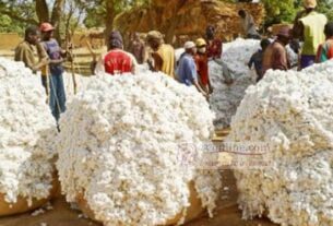 Producteurs de coton