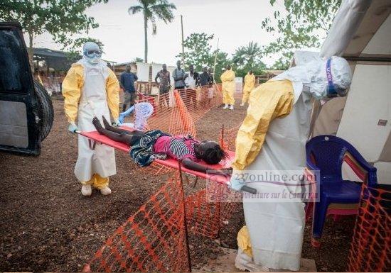 Fièvre Ebola: anticiper une éventuelle psychose nationale au Cameroun