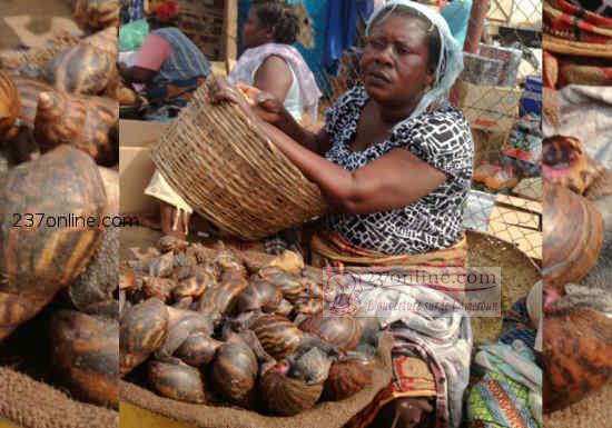 La vente d’escargot, cette nouvelle mine d’or au Cameroun