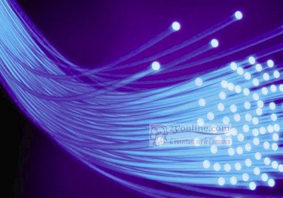 Cameroun : 18 milliards d’une société équato-guinéenne pour se connecter à la fibre optique