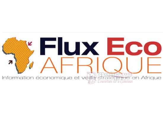 Cameroun: IMS-Consulting rencontre les médias à Promote 2014