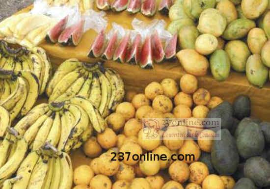 Cameroun: Les fruits plus chers à Ebolowa