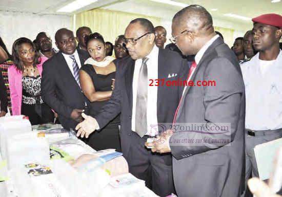 gregoire owona aide entreprises