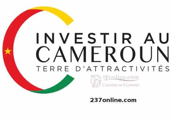 investir au cameroun