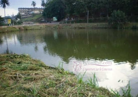 Cameroun – Lac Municipal: Une course de pirogue en signe d’universalisme de l’eau