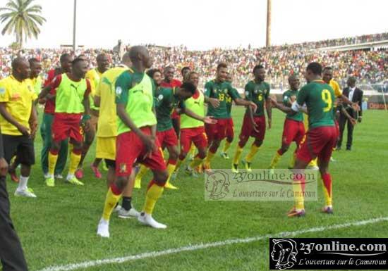 lions samba