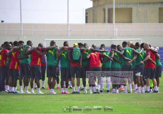 lions train 2