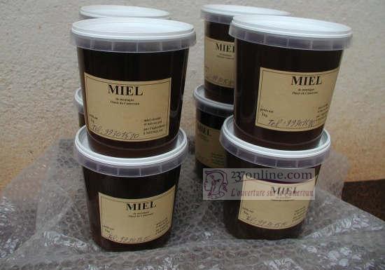 Cameroun – Initiative: Formés à la culture du miel à Bafoussam