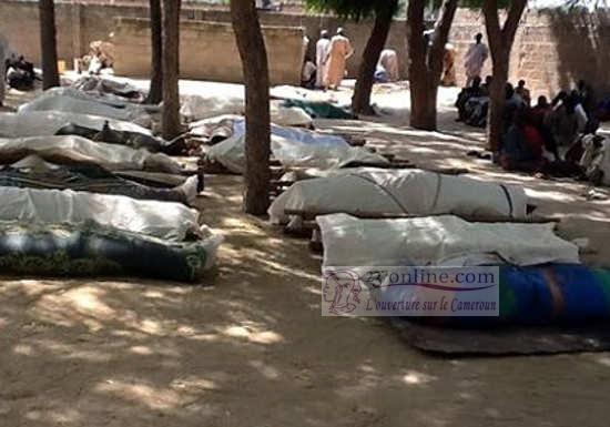 Cameroun: Sept corps dans une palmeraie à Bonepoupa