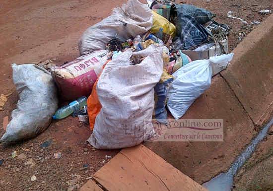 Cameroun: La ville de Yaoundé croule sous les ordures