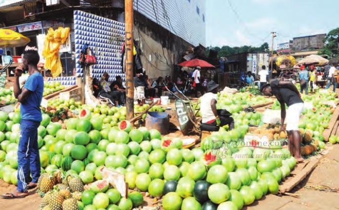 Cameroun : La pastèque toujours chère à Bafoussam