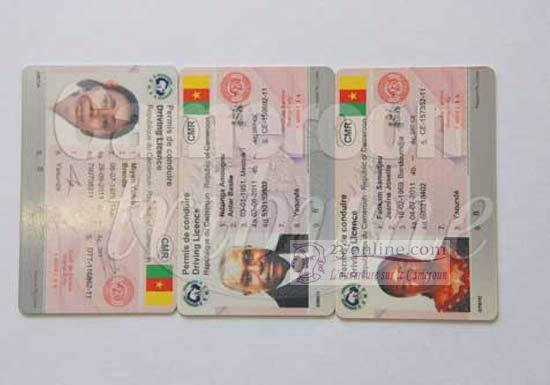 Cameroun – Permis de conduire informatisé: les faussaires pris au piège :: Cameroon