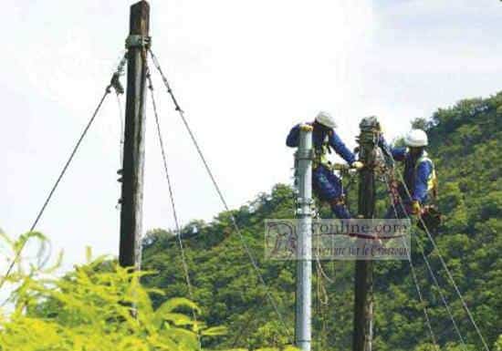 Cameroun: ENEO scrute l’avenir du secteur des poteaux bois