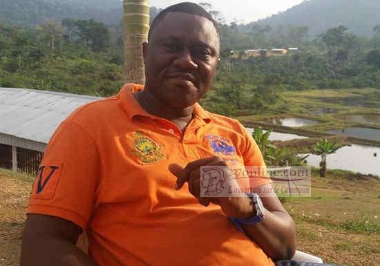 Cameroun: Ce que le fer de Mbalam pourrait apporter à l’économie camerounaise
